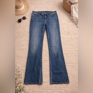 Talbots Signature Jeans - Size 8L